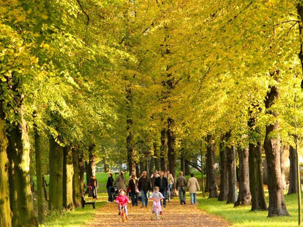 🌳 로테호른 시민공원(슈타트파르크 로테호른)